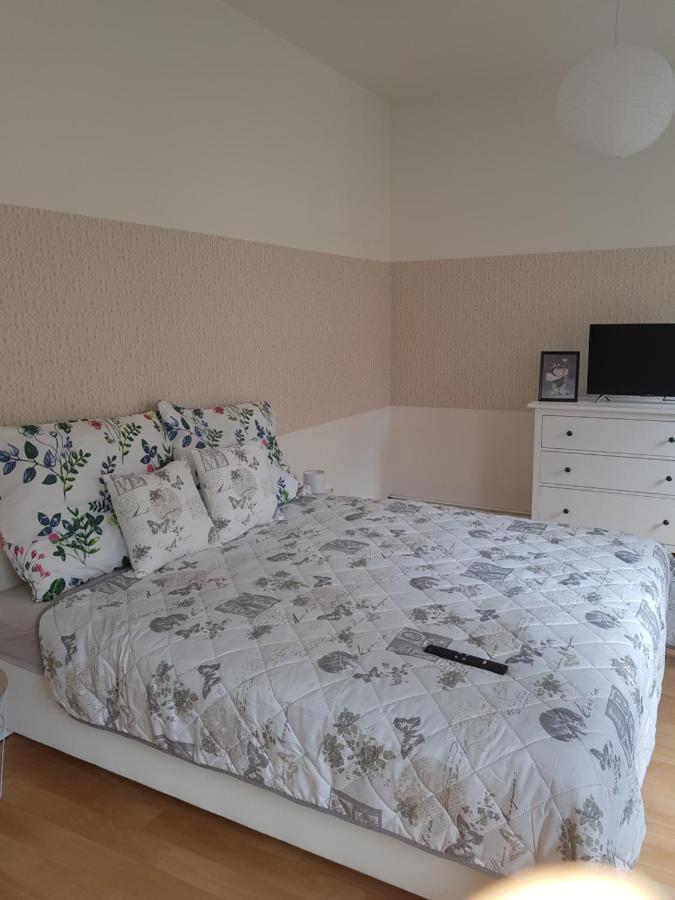 Apartman Deny2 Apartment Decin Ngoại thất bức ảnh